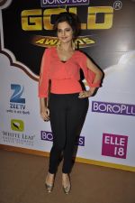 Monica Bedi at Gold Awards red carpet in Filmistan, Mumbai on 17th May 2014